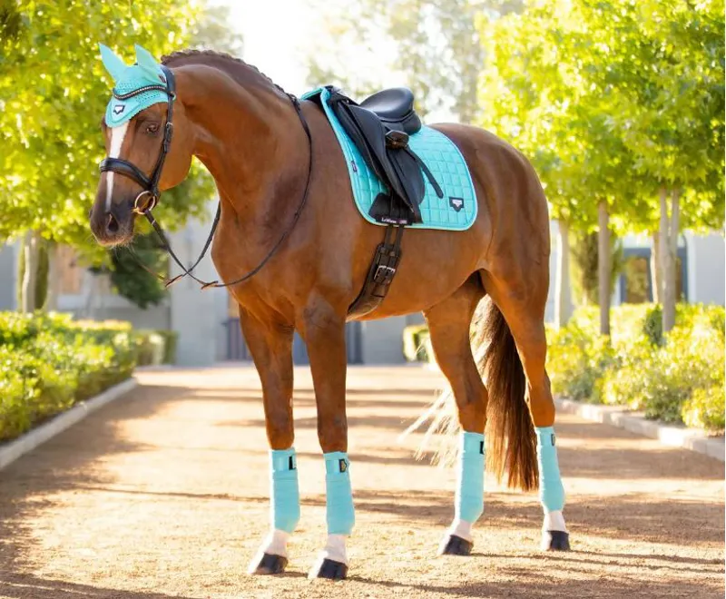 LeMieux Loire Saddle Dressage Saddle Cloth Azure-1